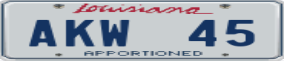 Truck License Plate